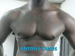ANTONY_HANDS