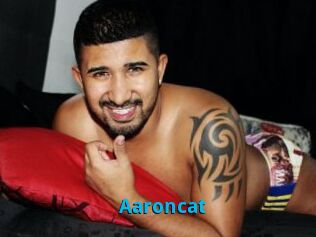 Aaroncat