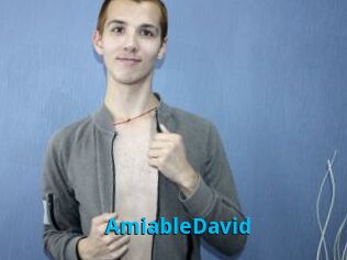 AmiableDavid