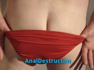 Anal_Destruction