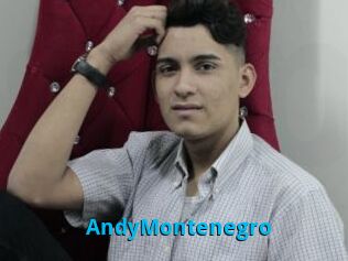 AndyMontenegro