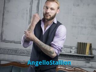 AngelloStallion