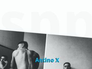 Antino_X