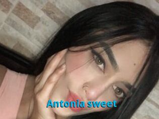 Antonia_sweet
