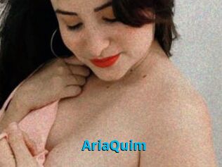 AriaQuim