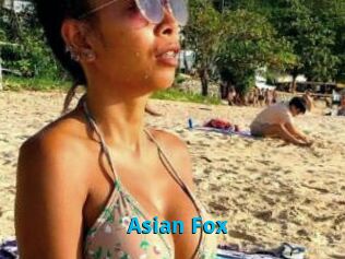 Asian_Fox