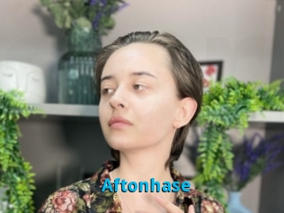 Aftonhase