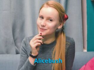 Alicebush