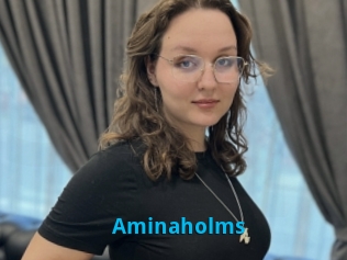 Aminaholms