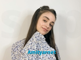 Amityarnet