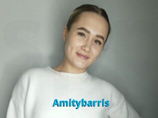 Amitybarris
