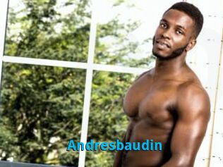 Andresbaudin