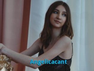 Angelicacant