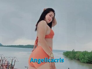 Angelicacris