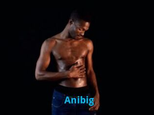 Anibig