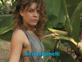 Aniccaspinelli