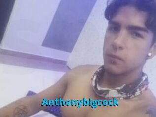 Anthonybigcock