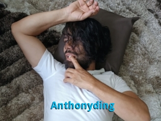 Anthonyding