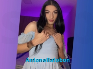 Antonellatobon