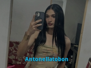 Antonellatobon