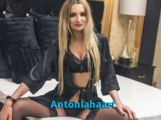 Antoniahaart