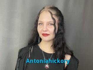 Antoniahickory