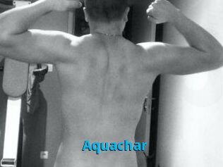 Aquachar