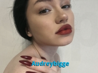 Audreybigge