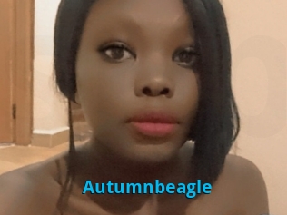 Autumnbeagle