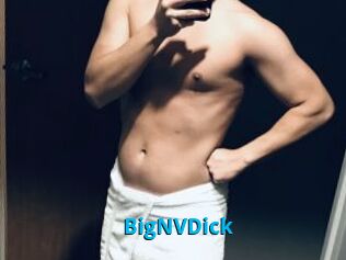 BigNVDick