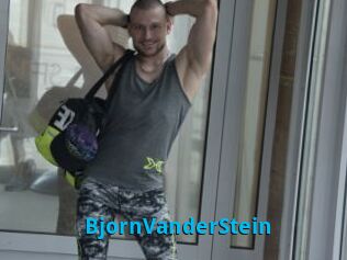 BjornVanderStein