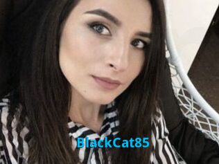 BlackCat85