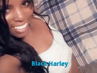 Black_Harley