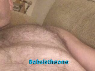Bobsistheone