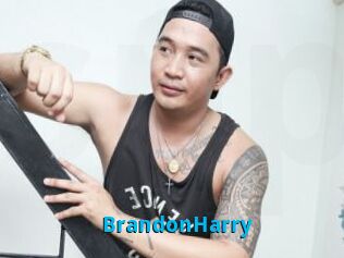 BrandonHarry