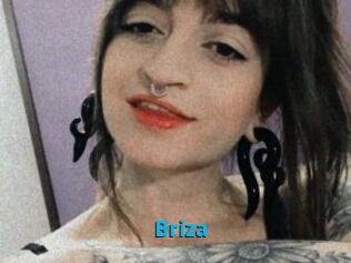 Briza