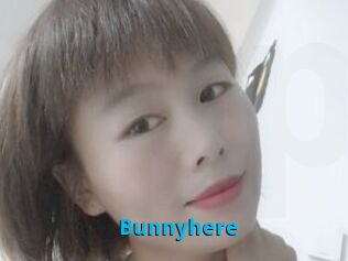 Bunnyhere