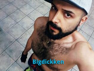Bigdickken