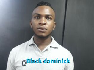 Black_dominick