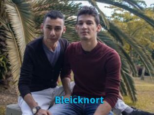 Bleicknort