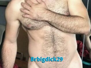 Brbigdick29