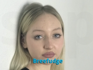 Breefudge