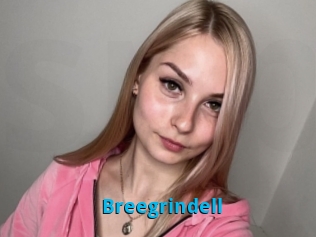 Breegrindell