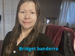 Bridget_banderro