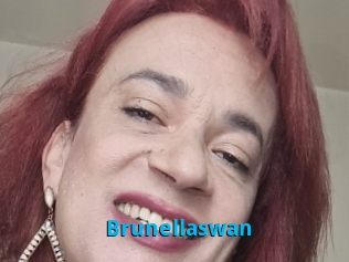 Brunellaswan