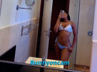 Bunnyoncam