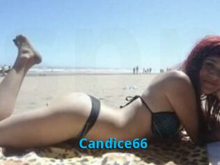 Candice66