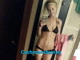 Cashmerebunny