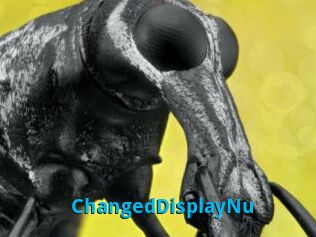 ChangedDisplayNu