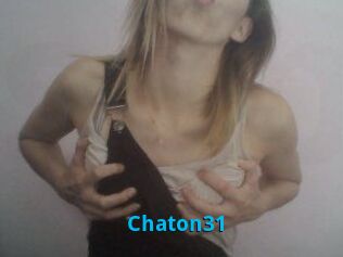 Chaton31